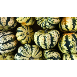 🍃 Patidou 1kg (Bio)