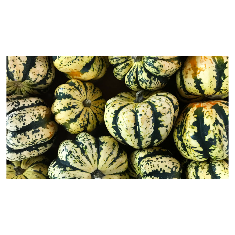 đ Patidou 1kg (Bio) đ Patidou 1kg (Bio)