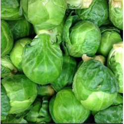 Choux de Bruxelles 1kg