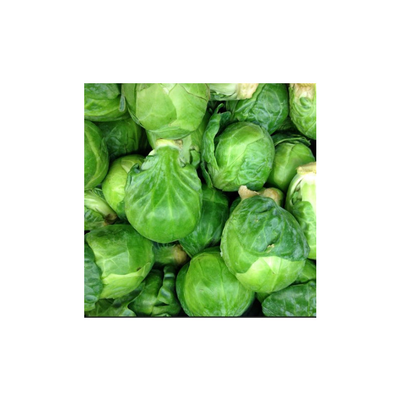 Choux de Bruxelles 1kg Choux de Bruxelles 1kg