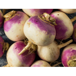 Navets violet 1kg