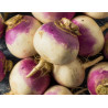 Navets violet 1kg Navets violet 1kg