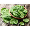 Epinards 500g Epinards 500g