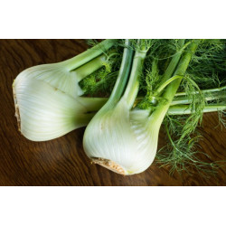 Fenouil 1kg