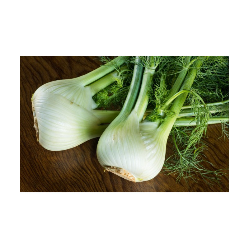 Fenouil 1kg