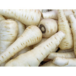 Panais 1kg