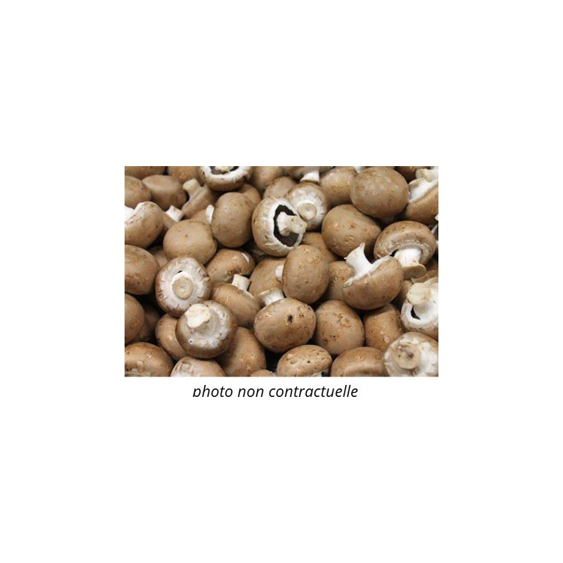 🍃Champignons bruns (Bio) 🍃Champignons bruns (Bio)