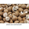 🍃Champignons bruns (Bio)