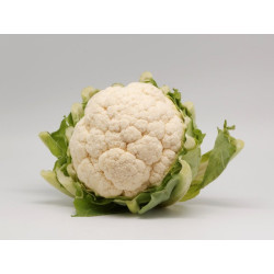 Choux fleur 1kg