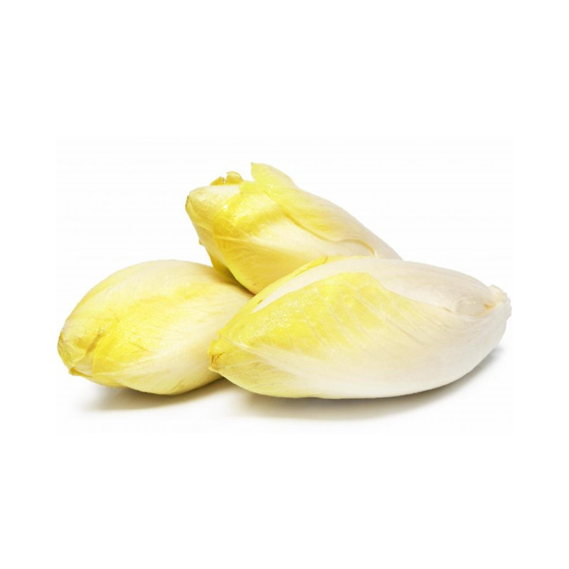 Endive Nord France 500g Endive Nord France 500g