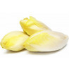 Endive Nord France 500g Endive Nord France 500g