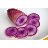 Radis BLUE meat 1kg Radis BLUE meat 1kg