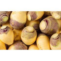 Rutabaga 1kg