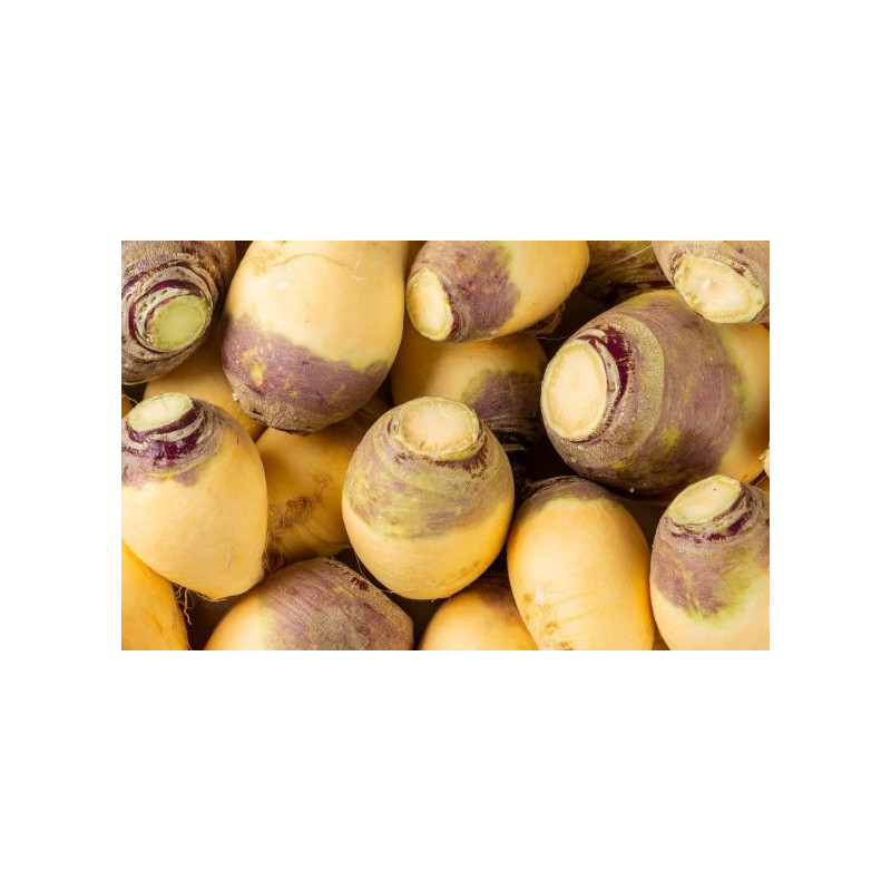 Rutabaga 1kg Rutabaga 1kg