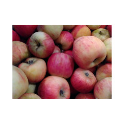 🍃Pomme pirouette 1kg (Bio)