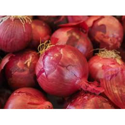 🍃Oignons Rouges 1kg (Bio)