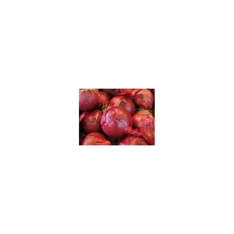 đOignons Rouges 1kg (Bio) đOignons Rouges 1kg (Bio)
