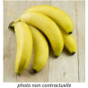 🍃Bananes (Bio)
