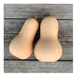 🍃 Courge Butternut(Bio)
