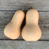 🍃 Courge Butternut(Bio)