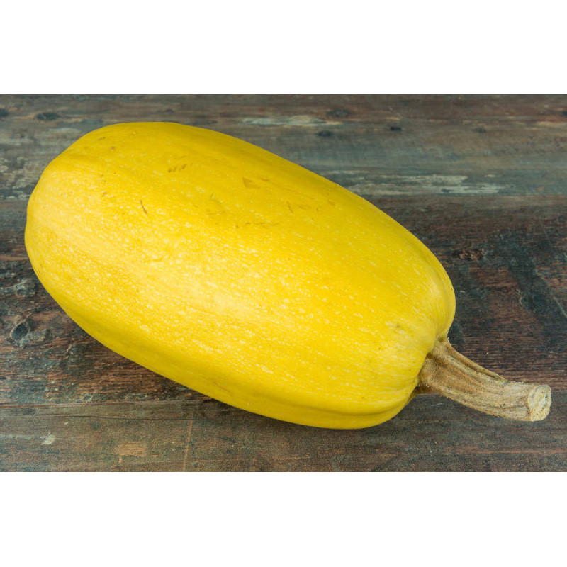 🍃 Courge Spaghetti (Bio)