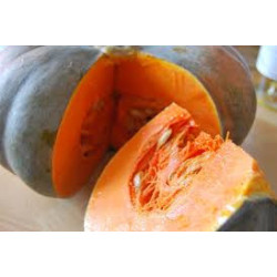 🍃 Courge Musqué (Bio)