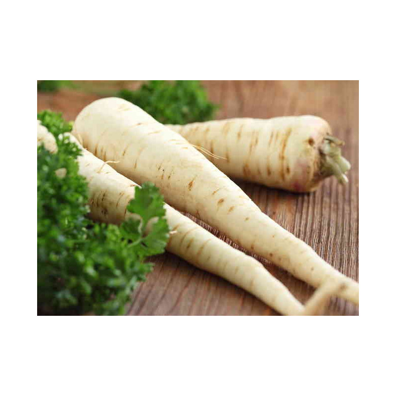 🍃 Panais 1kg (Bio)