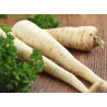 🍃 Panais 1kg (Bio)