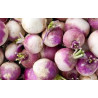 🍃 Navets violets 1kg (Bio)