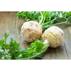 🍃 Celeri rave (Bio)