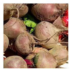 🍃 Betterave rouge 1kg (Bio)