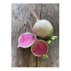 🍃 Radis red meat 1kg (Bio)