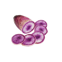 🍃 Radis Blue Candy 1kg (Bio)