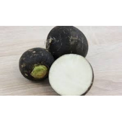 🍃 Radis noir Rond 1kg (Bio)
