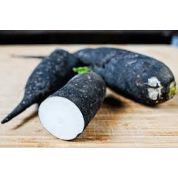 🍃 Radis noir Long 1kg (Bio)