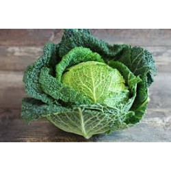 🍃 Chou Frisé (Bio)